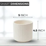 5 inch white ceramic-planter dimensions