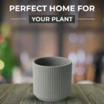Ash hue grey ribbed-ceramic planter