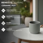 Benefits of grey ceramic-plant pot