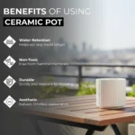 Benefits of white ceramic plant pot.jpg