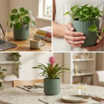 premium-green-ceramic-pots.jpg