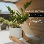 Styling indoor plants white ribbed pot