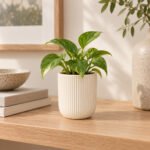 Ivory ribbed ceramic planter with green plant displayed on a wooden tabletop