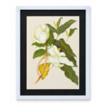 White Magnolia botanical wall art with white flowers, green leaves and black frame