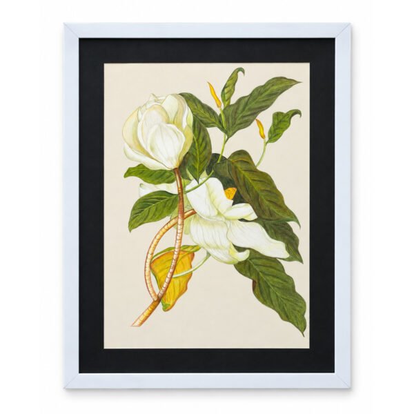 White Magnolia botanical wall art with white flowers, green leaves and black frame