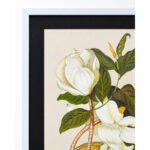 Side angled view of framed White Magnolia botanical wall art