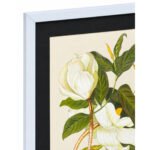 Close-up of top corner and black frame on White Magnolia botanical artwork