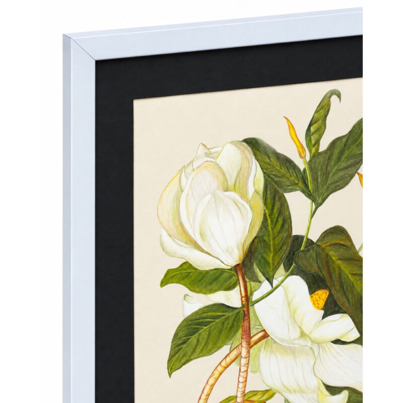 Close-up of top corner and black frame on White Magnolia botanical artwork