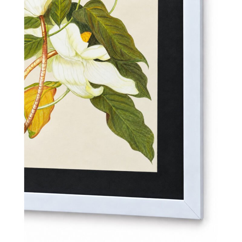 Bottom corner detail of White Magnolia botanical wall art with black frame