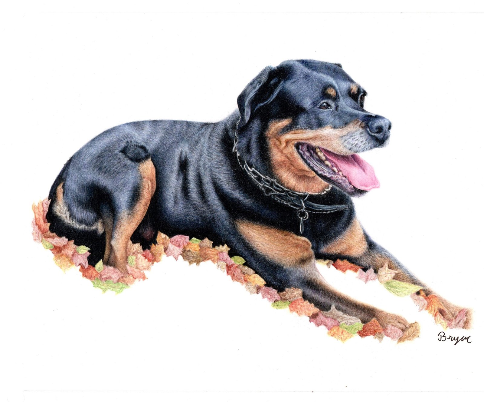 Pet Portraits By Bryar