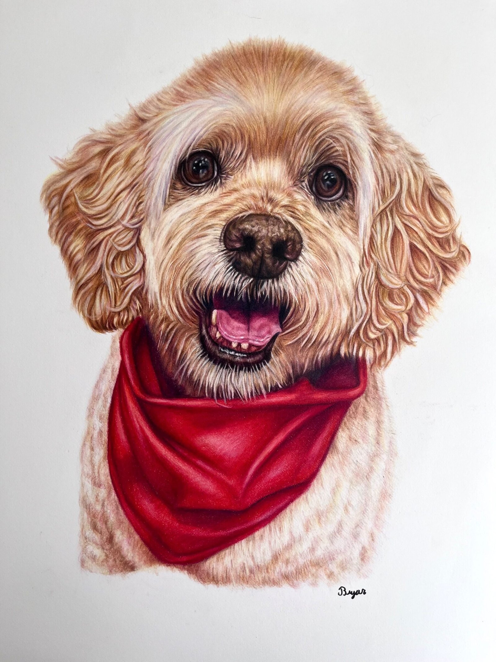 Pet Portraits By Bryar